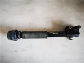 Rear shock absorber with coil spring