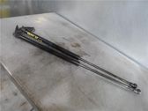 Tailgate/trunk strut/damper
