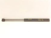 Tailgate/trunk strut/damper