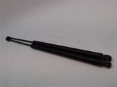 Tailgate/trunk strut/damper