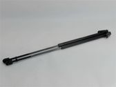 Tailgate/trunk strut/damper