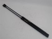 Tailgate/trunk strut/damper