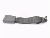 Rear seatbelt