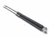 Tailgate/trunk strut/damper