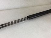 Tailgate/trunk strut/damper