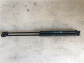 Tailgate/trunk strut/damper
