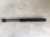 Tailgate/trunk strut/damper