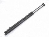Tailgate/trunk strut/damper