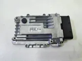 Engine control unit/module ECU