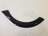 Fender trim (molding)