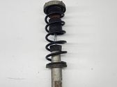 Rear shock absorber with coil spring