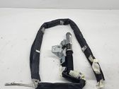 Roof airbag