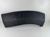 Fender trim (molding)