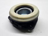 Coil spring mount