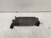 Chłodnica powietrza doładowującego / Intercooler