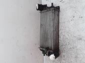 Radiador intercooler
