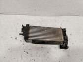 Chłodnica powietrza doładowującego / Intercooler