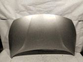 Motorhaube