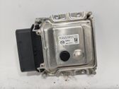Engine control unit/module ECU