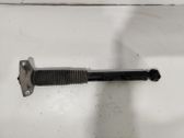 Stoßdämpfer hinten