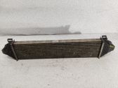 Radiador intercooler