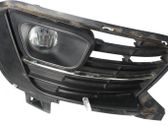 Moldura/rejilla de la luz antiniebla delantera