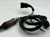 Sonde lambda