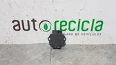 Calculateur moteur ECU