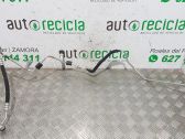 Manguera/tubo del aire acondicionado (A/C)