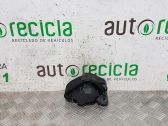 Cinturón trasero
