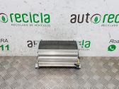 Airbag de la puerta delantera