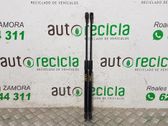 Amortiguador/puntal del maletero/compartimento de carga