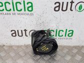 Cinturón trasero