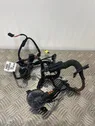 Front door wiring loom