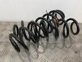 Rear coil spring