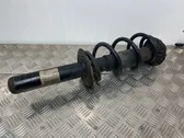 Front shock absorber/damper