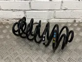 Rear coil spring