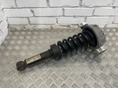 Rear shock absorber/damper