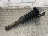 Rear shock absorber/damper