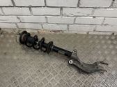 Front shock absorber/damper