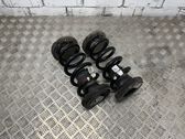 Rear coil spring