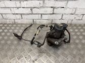 Bremssattel hinten