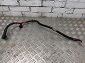 Wires (starter motor)