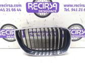 Kühlergrill