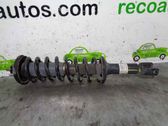 Rear shock absorber with coil spring