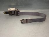 Ceinture de sécurité arrière