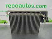 Air conditioning (A/C) radiator (interior)