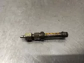 Injecteur de carburant