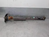 Rear shock absorber with coil spring