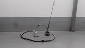 Radion antenni